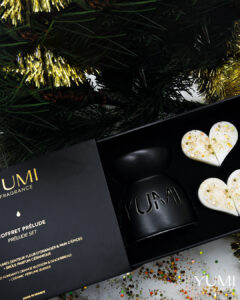 Photo de fondants parfumés dans un coffret de noël